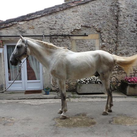 Gite Des Ecuries Du Seillery La Clisse Luaran gambar