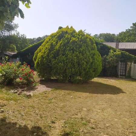 Gite Des Ecuries Du Seillery La Clisse Luaran gambar