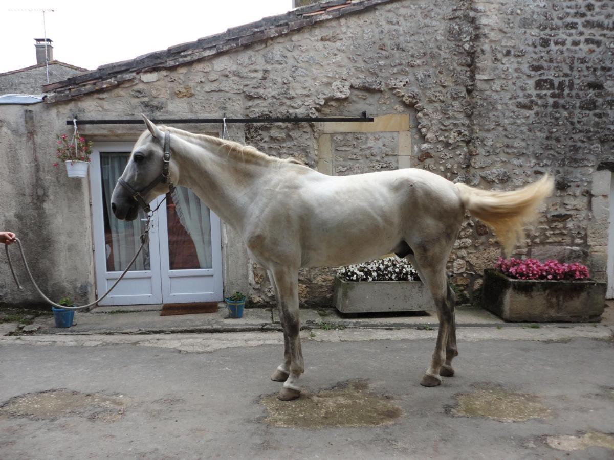 Gite Des Ecuries Du Seillery La Clisse Luaran gambar